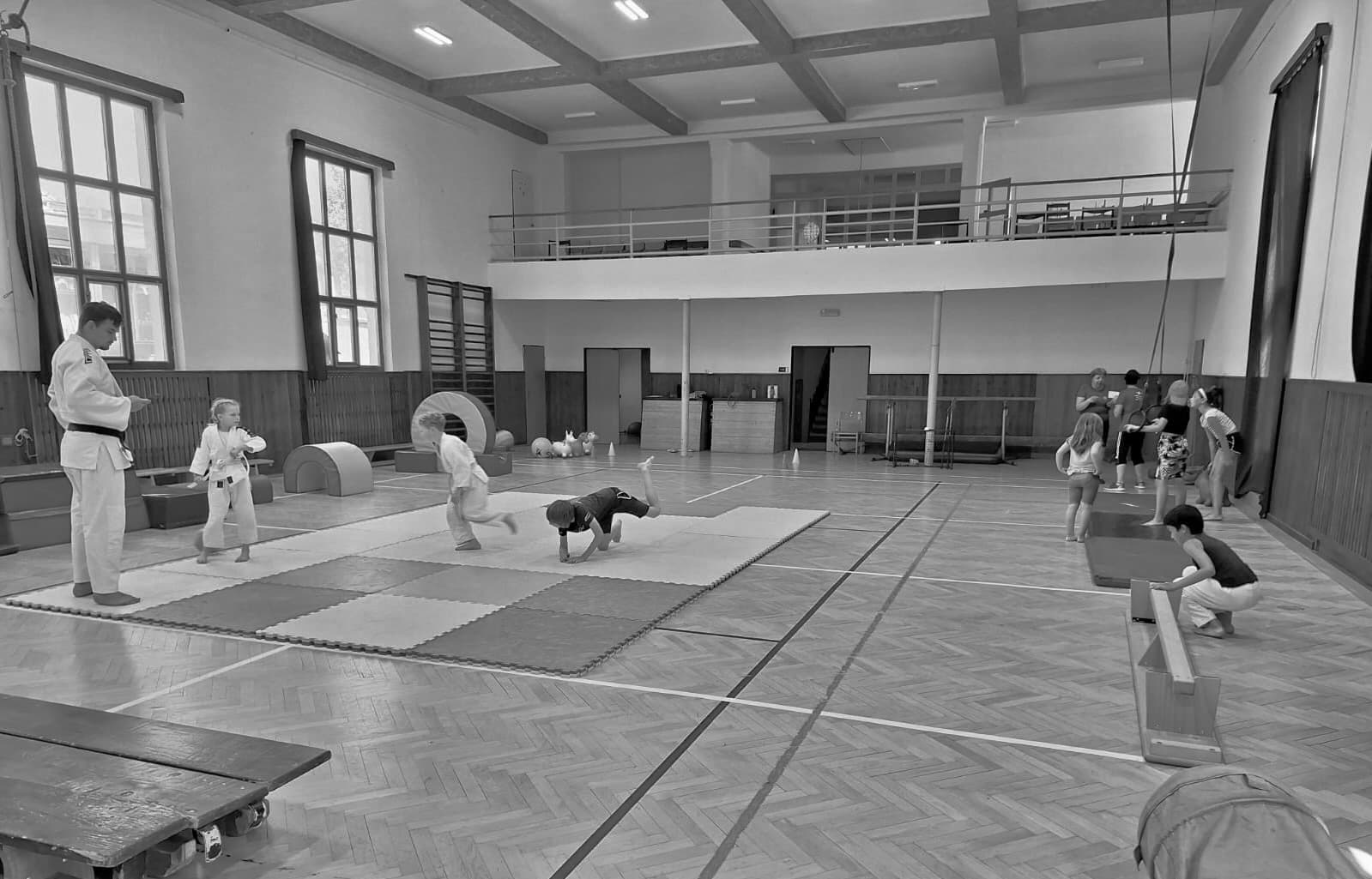 100 LET TRADICE SOKOLSKÉHO HNUTÍ